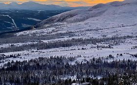 Buustamons Fjällgård